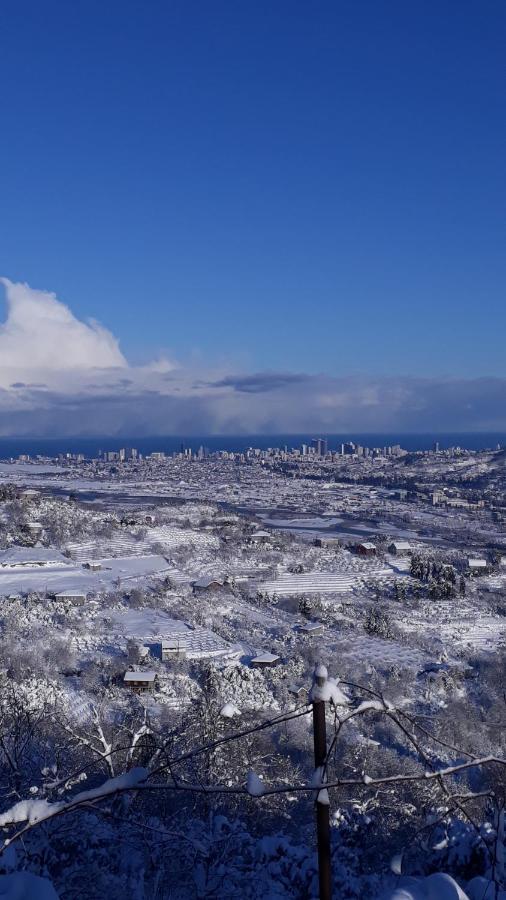 Chemi Kera Villa Makho Dış mekan fotoğraf